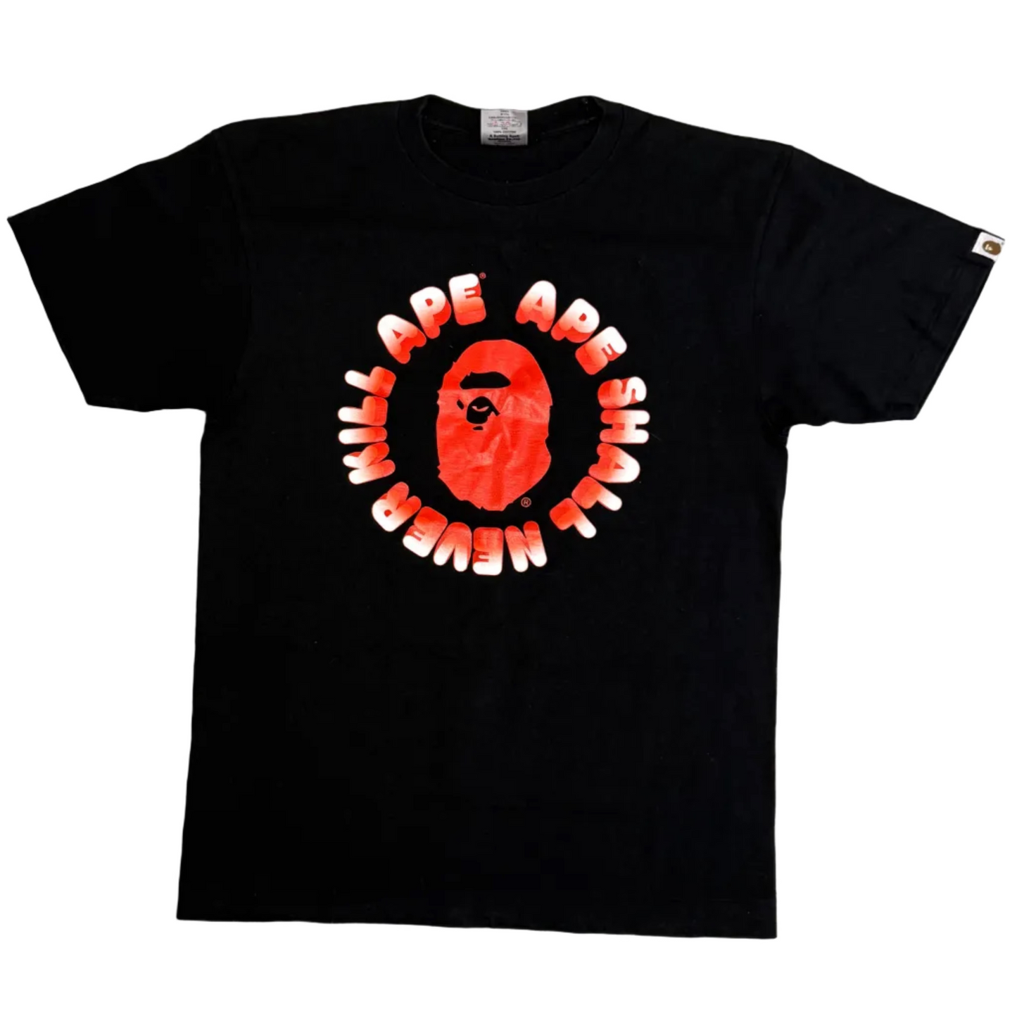 USED Bape A Bathing Ape ASNKA Tee