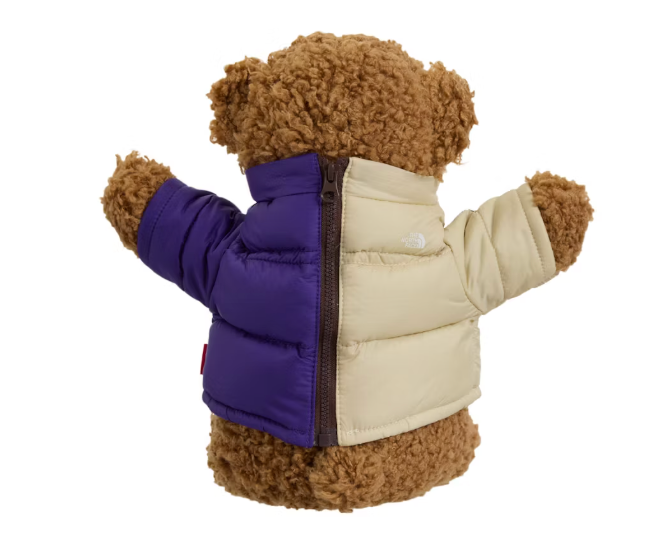 Supreme TNF Bear