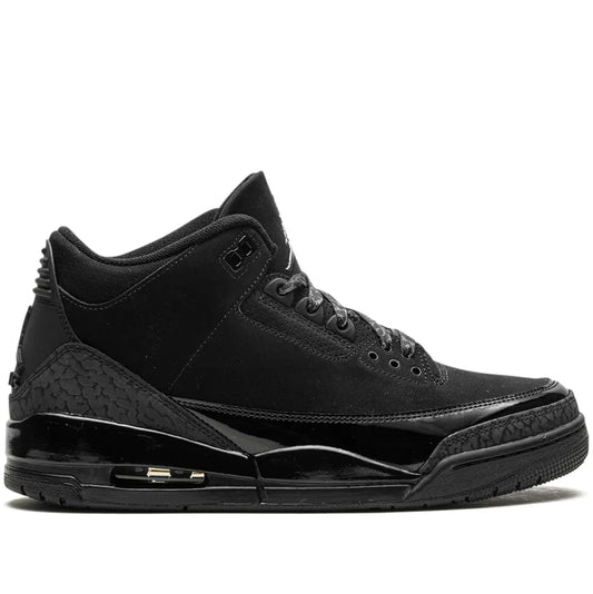 Air Jordan 3 Black Cat