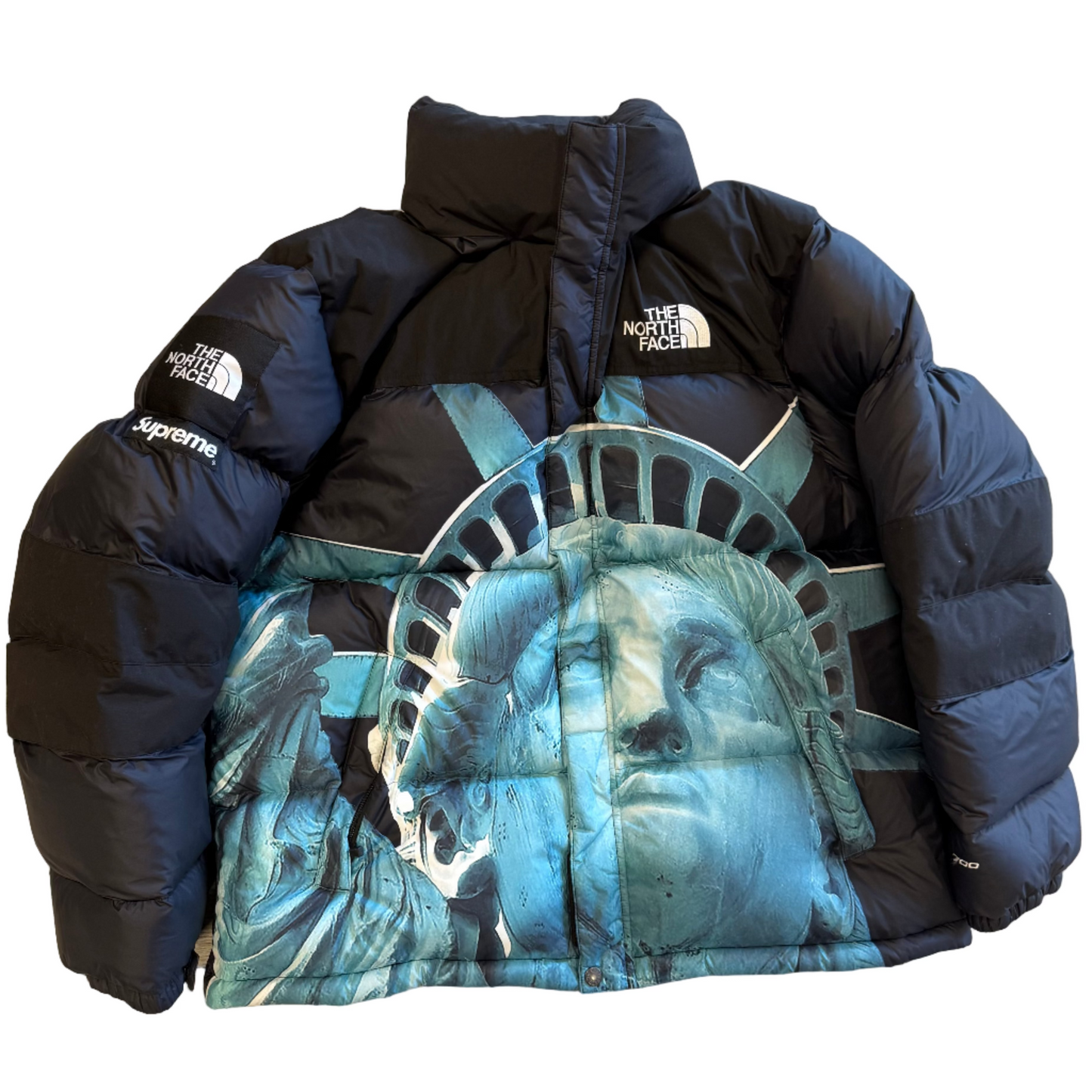 USED Supreme TNF Statue Of Liberty Baltoro Jacket